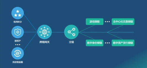 未來(lái)網(wǎng)絡(luò)的關(guān)鍵技術(shù) 網(wǎng)絡(luò)技術(shù)開(kāi)發(fā)的星辰大海